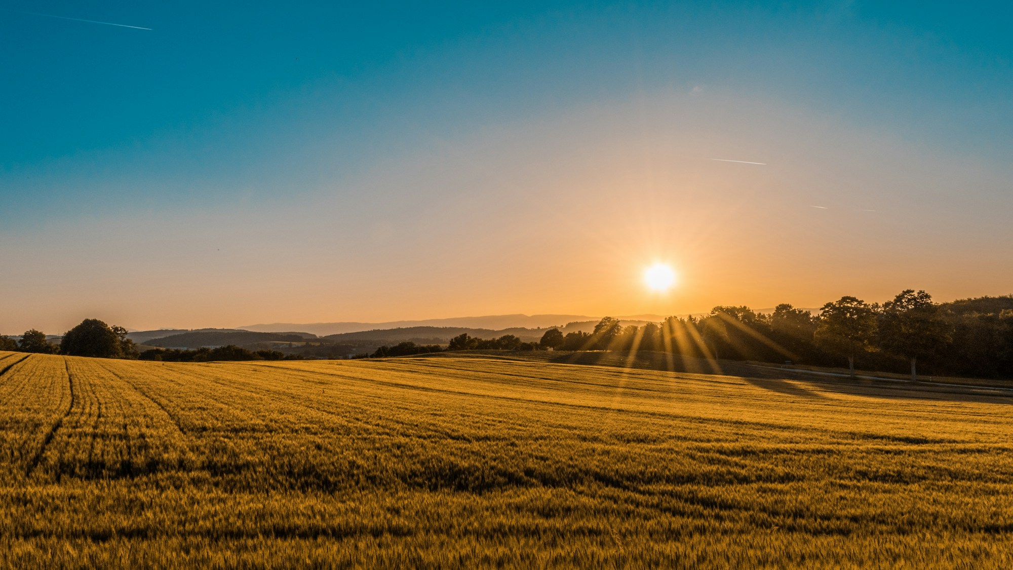 Cultivated countryside representing agriculture and food production
